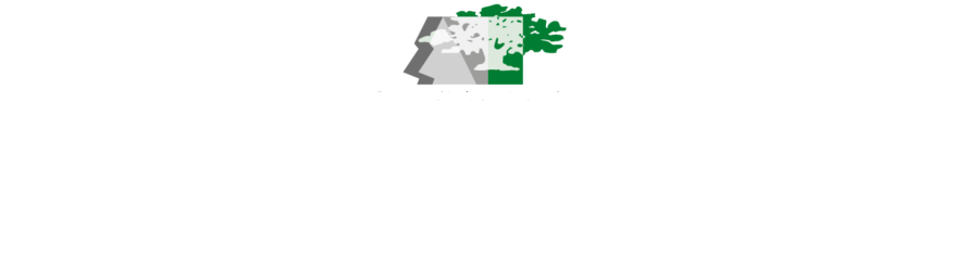 Alternative Models of State Formation in Palestine/”Israel”