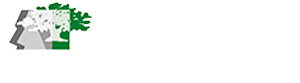 النوع الاجتماعي والعلاقات (الخيارات) الاقتصادية